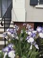 353 Pleasant Street - Photo 16