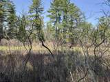 00 Province Lake Road - Photo 13