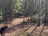 00 Province Lake Road - Photo 18