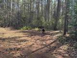 00 Province Lake Road - Photo 28