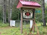 00 Province Lake Road - Photo 46