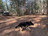 00 Province Lake Road - Photo 48