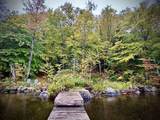 1744 Peacham Pond Road - Photo 3