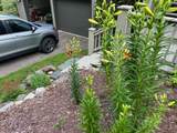 269 Hortonia Road - Photo 50