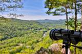 544 Vulture Mountain Road - Photo 4