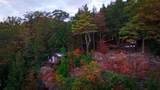 544 Vulture Mountain Road - Photo 59