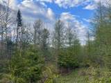 00 Lost Nation Road - Photo 8