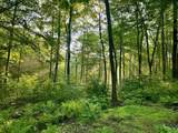 515 Quarry Road - Photo 52