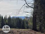 00 Old Coach Road - Photo 1