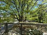 112 East Avenue - Photo 31