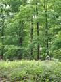 81 Hart Farm Road - Photo 6