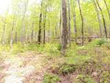 763 Hunting Camp Road - Photo 4