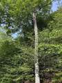 800 Hubbard Hill - Photo 21