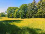 2117 Pine Banks Road - Photo 8
