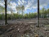 Lot 9 Old County Road - Photo 11