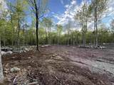 Lot 9 Old County Road - Photo 12