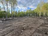 Lot 9 Old County Road - Photo 13