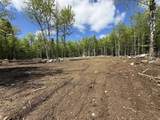 Lot 9 Old County Road - Photo 8
