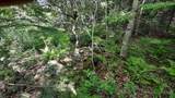 0 Summit Road - Photo 16