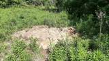 0 Summit Road - Photo 24