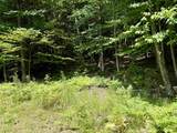 175 Sunset Rock Road - Photo 16
