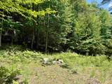 175 Sunset Rock Road - Photo 19