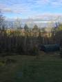 16 Griffin Road - Photo 22