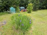 16 Griffin Road - Photo 25