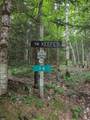 16 Griffin Road - Photo 5