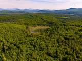 3180 Bear Hill Road - Photo 10
