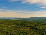 3180 Bear Hill Road - Photo 13