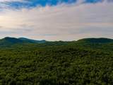 3180 Bear Hill Road - Photo 15