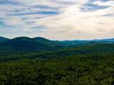 3180 Bear Hill Road - Photo 16