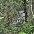 Lot 4B-29-2 Joslin Road - Photo 4