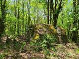 00 River Road - Photo 2