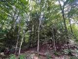 302 Davidson Hill Road - Photo 29