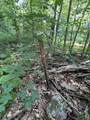 302 Davidson Hill Road - Photo 32