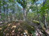 302 Davidson Hill Road - Photo 34
