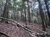 302 Davidson Hill Road - Photo 36