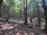 302 Davidson Hill Road - Photo 39
