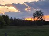 45 Donna's Way - Photo 46