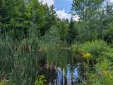 195 Taft Brook Road - Photo 24