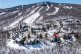 35 White Loop - Photo 2