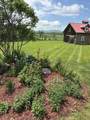 13 Austin Road - Photo 43
