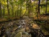 1765 Stevens Mill Road - Photo 10