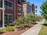 64 Aiken Street - Photo 35
