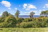 19 Northshore Drive - Photo 35
