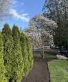 121 Prospect Street - Photo 12