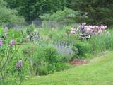 1820 Vermont Route 14 - Photo 16