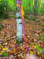 0 Cider Mountain Road - Photo 28